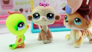 LPS - 10 Types of Little Sisters