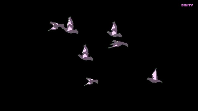 ENTERTAINMENT VIDEO FOR CATS. Cat Game on Screen. Flying Birds Video for Cats to watch.