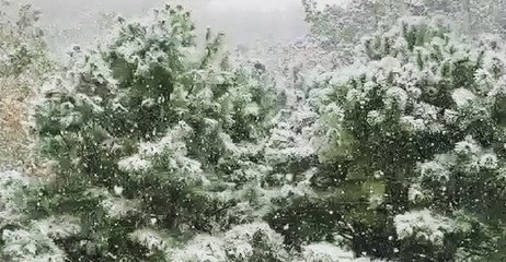 Tennessee Mountains Wake Up to Snow