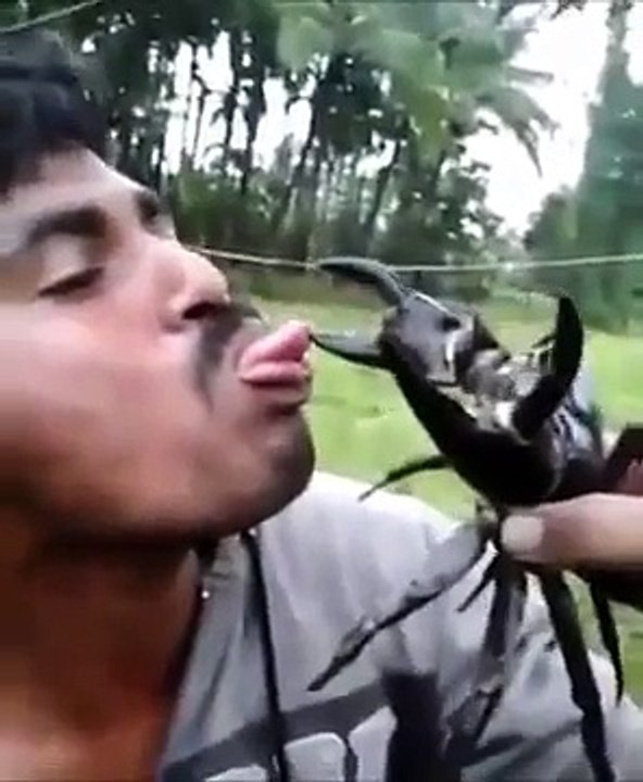 Voici la preuve que la stupidité peut tuer