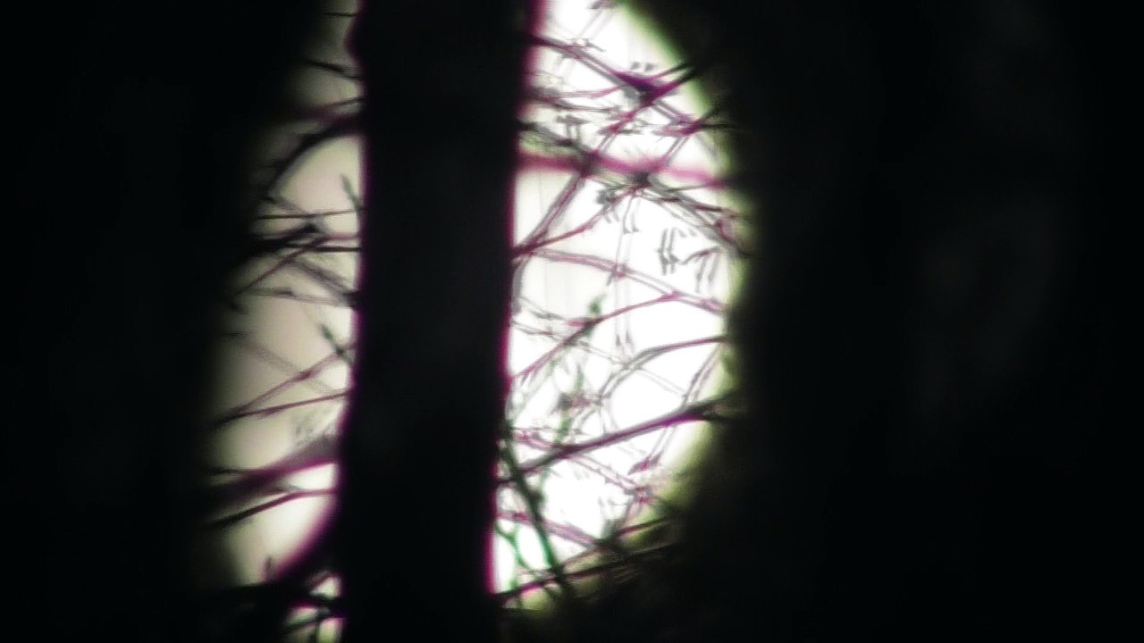 Oct 29 2017 ML5