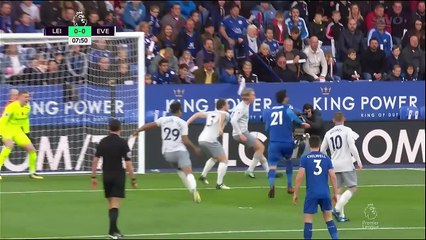 Leicester City vs Everton 2-0 Highlights & All Goals 29.10.017 HD