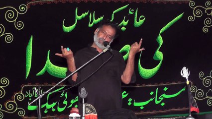 Zakir Mohsin Abbas Rizvi Muzafar Gar 13th Muharam 1439(2017) Choti Behak Hafizabad