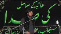 Zakir Naaz Hussain Jafery Vanikay Tarar 13th Muharam 1439(2017) Choti Behak Hafizabad