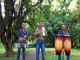 Música Campesina - Grupo: Impacto Tropical - Mujeres Lindas - Autor: Jhoan Uzcategui - Jesús Méndez Producciones