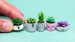 Miniature Succulents Plants, Polymer Clay and Acrylics Tutorial