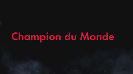 Grand Prix du Mexique - Hamilton tribute !