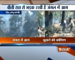 Jammu and Kashmir: Forest fire breaks out in Doda