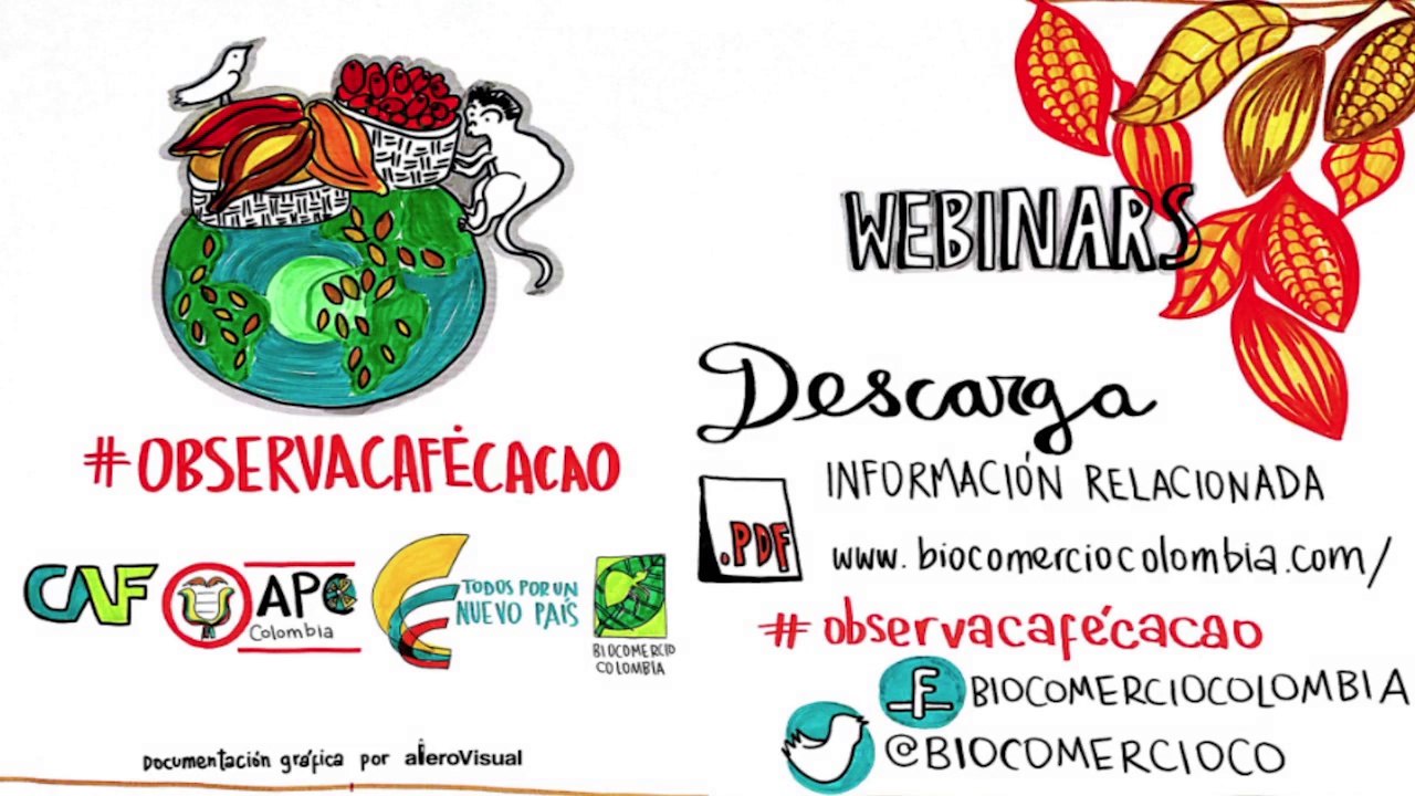 WEBINAR 4 Entrevista con el Dr. Juan Carlos Palacios de la CAF