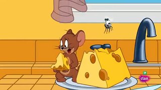 Tom y Jerry  Zona no apta para moscas  nuevos episodios 2018