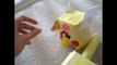 Angry Birds Epic Plush Adventures Episode 9: The Chronicle Caves