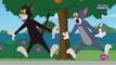 Tom & Jerry  Emparejamiento felino nuevos episodios 2018