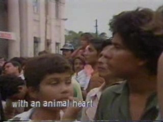 amparo ochoa - para amar en tiempos de guerra