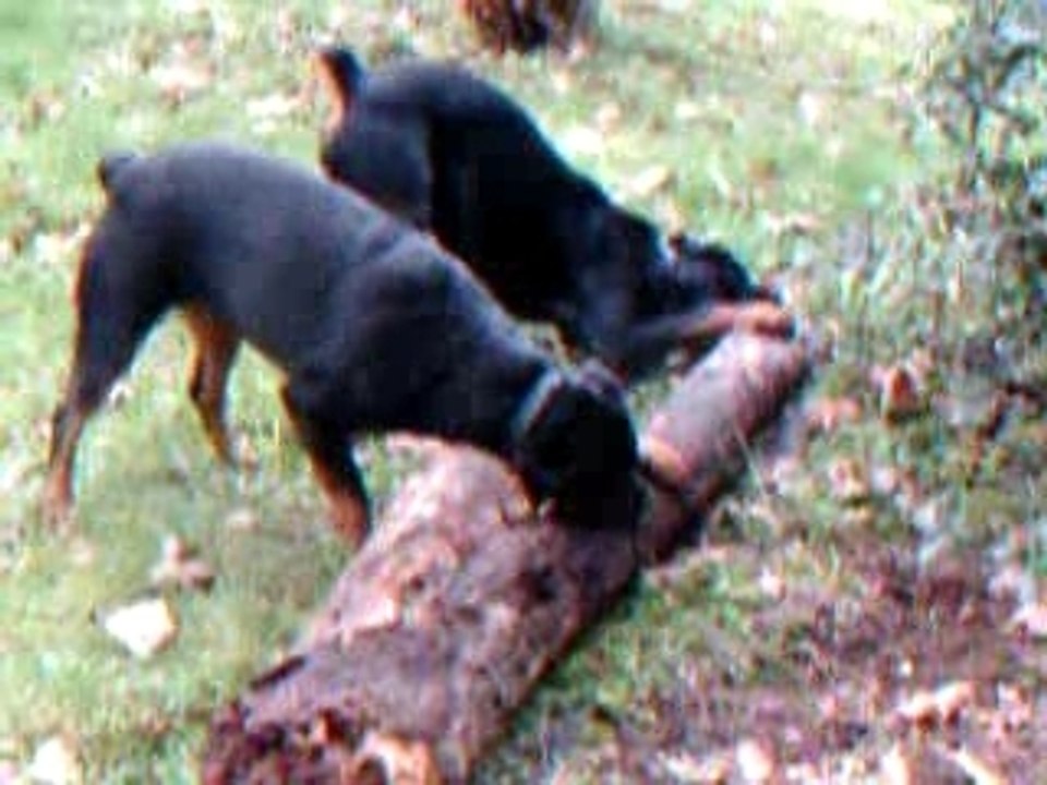 Xena et melki la tendresse en action