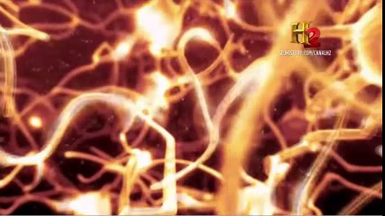 Manual do Êxito - Parte 1