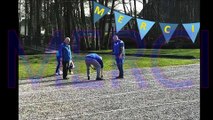 Clip de remerciements aux bénévoles du Pétanque Club Saint Justois pour cette saison 2017. Tous ne sont pas sur la vidéo mais la grande majorité y figure