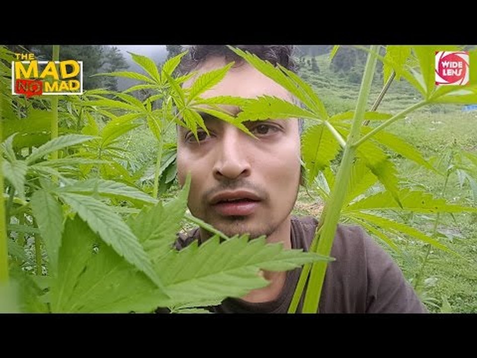 The MAD NoMAD Teaser 1 | Wide Lens