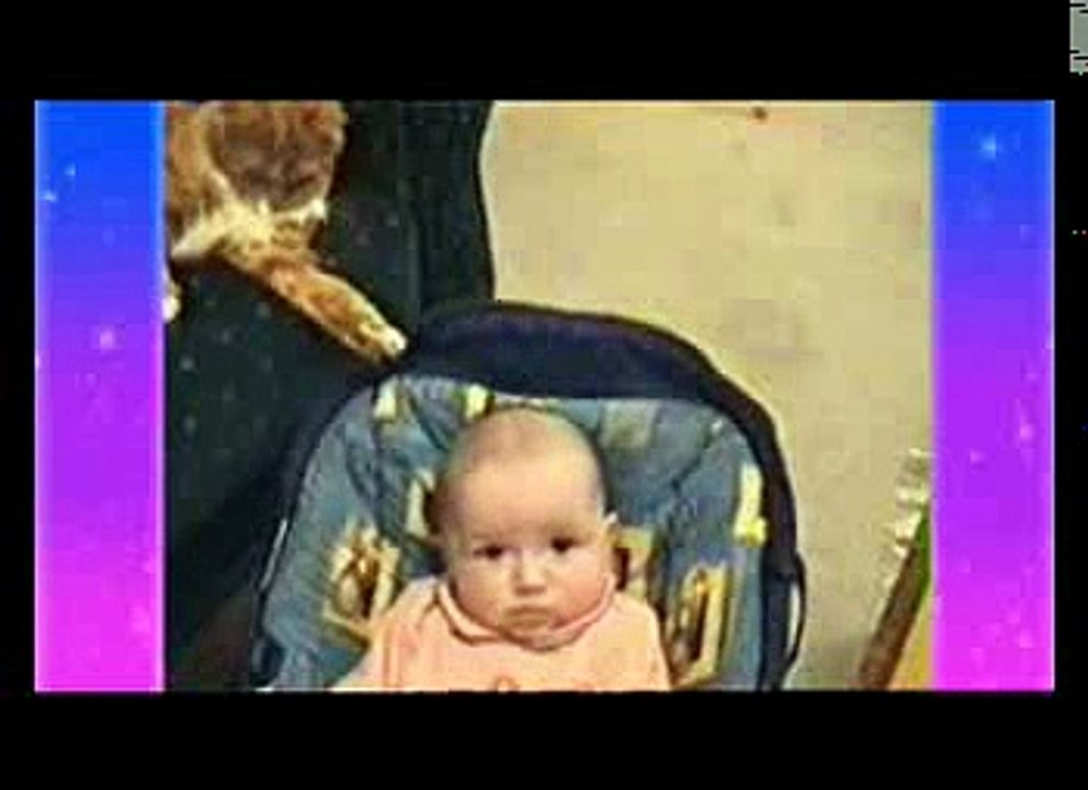 Animals like to move it move it