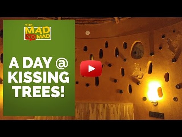 004 A DAY AT KISSING TREES | The MAD NoMAD EP. 022 | WIDE LENS
