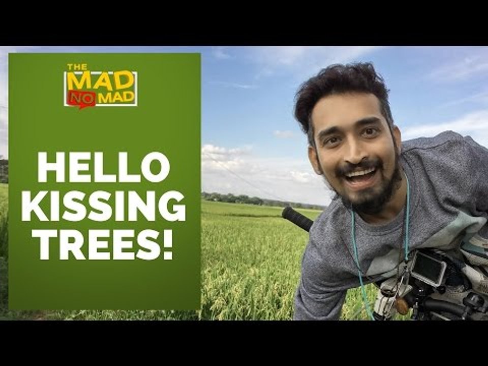 004 HELLO KISSING TREES | The MAD NoMAD EP. 021 | WIDE LENS