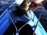 Smallmouth Bass Fishing Goes Like Clockwork.