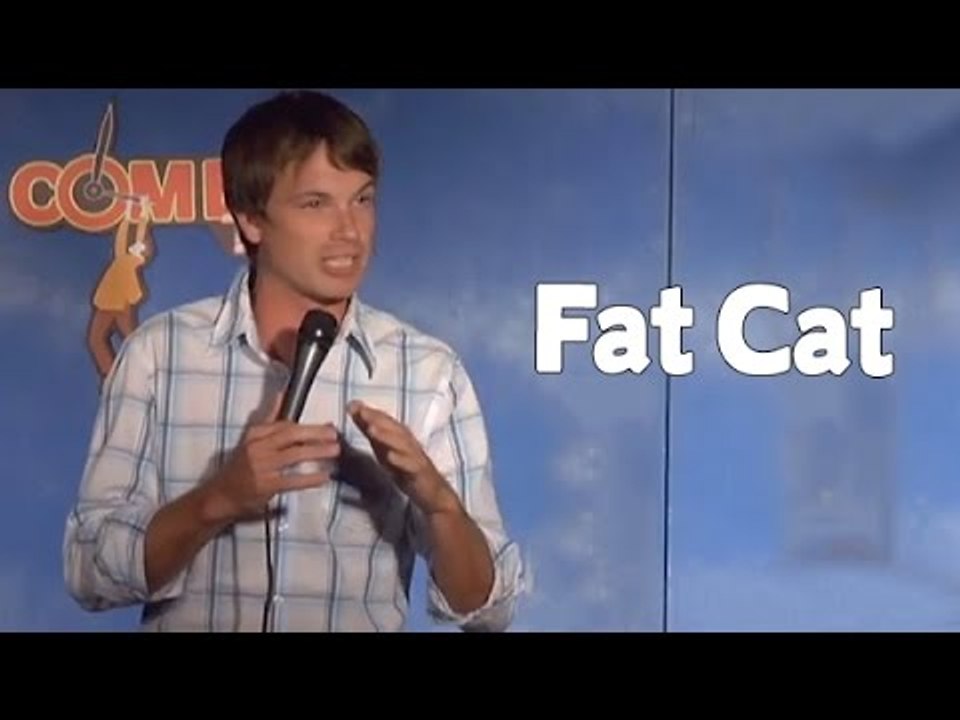 Fat Cat
