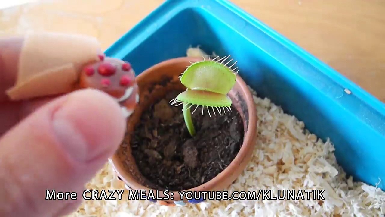 BEST OFF KLUNA TIK |#21 KLUNATIK COMPILATION ASMR eating sounds no talk