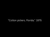 Animated Stereoscopic Photos of African Americans Picking Cotton in Florida in the 1800s