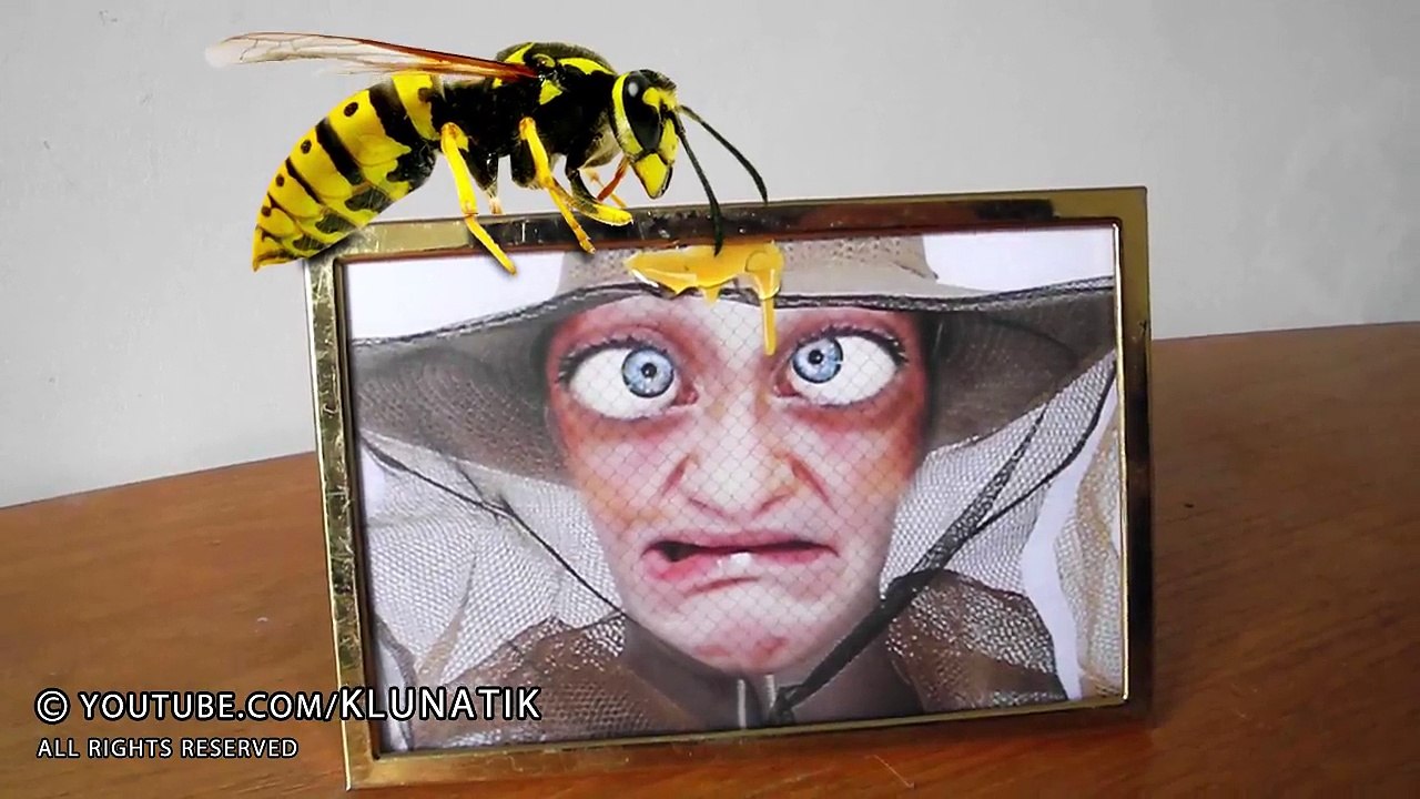 STUNG by a YELLOW JACKET!  Kluna Tik Dinner #81...