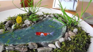 BABY KOI CARP for LUNCH!!! Kluna Tik Dinner #78 _ ASMR eating sounds no talk-f8bN3ZKfI-k