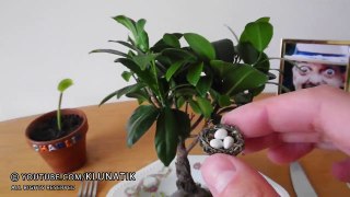 BABY BIRD NEST for LUNCH  Kluna Tik Dinner #87 _ ASMR eating sounds no talk-sbsDBUiZSI4