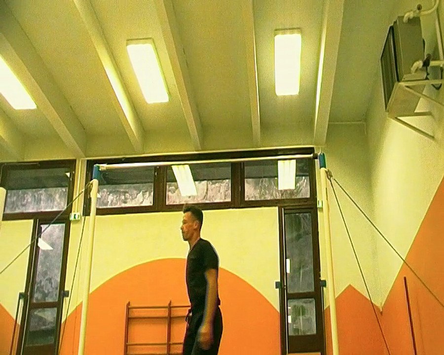 Henri Mauriès Barre Fixe