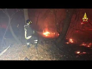 Download Video: Firefighters Battle Blazes in North Italian Forest Park