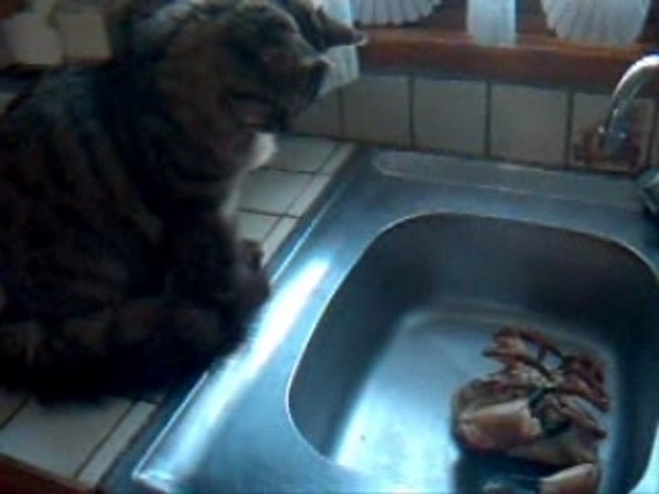 Calinou et le crabe