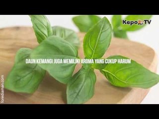 Kenapa Sih Harus Cuci Tangan Dengan Daun Kemangi Saat Makan Di Warteg