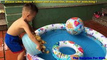 Learn Colors with Baby Watermelon Pool for Children Song Finger Family Nursery Rhymes Kids Colours-ndBG4dDqlWI