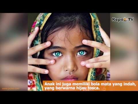 Orang-Orang Ini memiliki Kornea Mata Yang Indah Dan Membuat Kita Iri