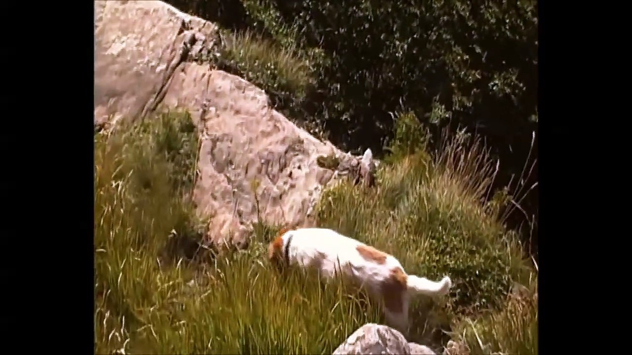 Finalmente grossi funghi porcini al parco dei cento laghi 30 e 31 agosto new