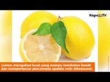 Buah-buahan yang Dikonsumsi Saat Diet