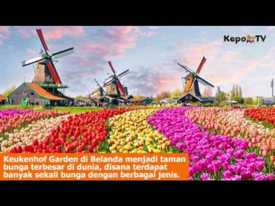 5 Taman Bunga dengan Keindahan yang Luar Biasa