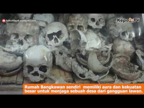 Fakta Tentang Rumah Bangkawan Milik Suku Dayak