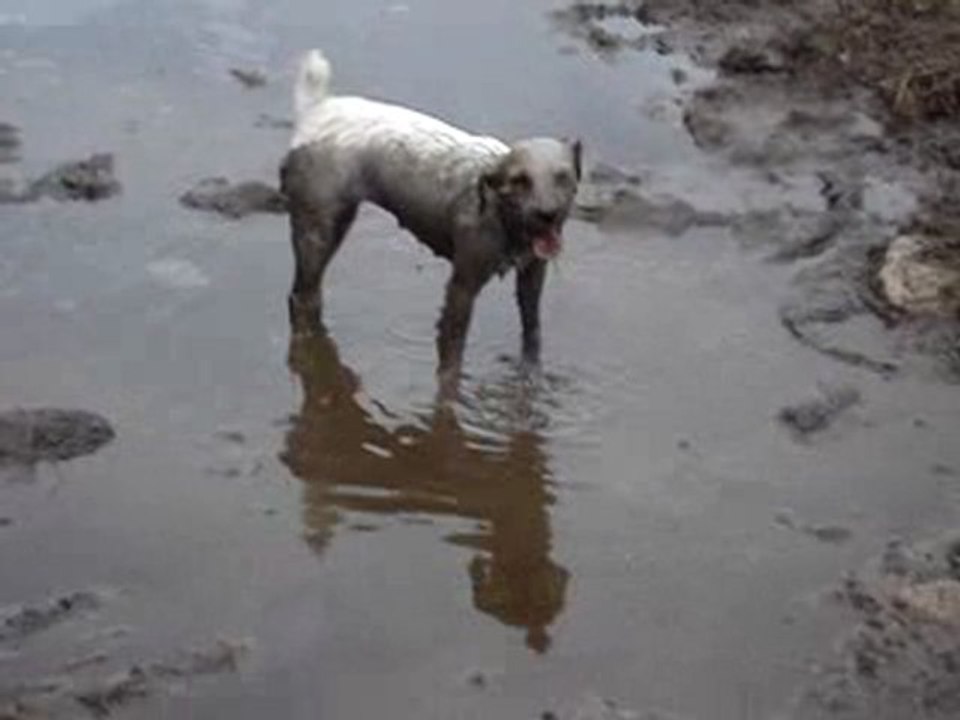 Anouck la déguelasse