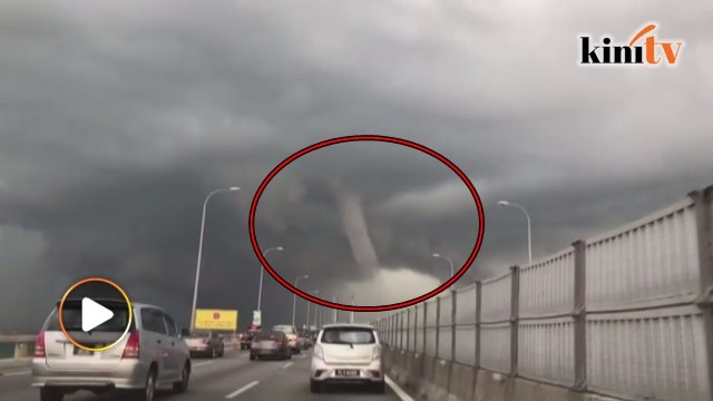 Lagi belalai air 'timbul' di Jambatan Pulau Pinang