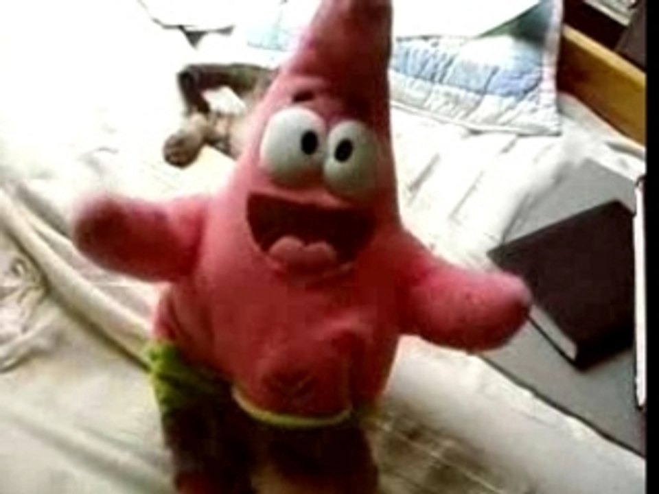 patrick vs cat