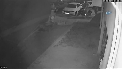 Soyguna Gelen Çete Üyeleri Alarmı Duyunca Apar Topar Böyle Kaçtı