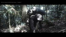 Part2:Best Action Movies 2017 | Jungle WAR Movies FULL LENGTH English Subtitles