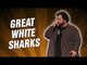 Great White Sharks (Stand Up Comedy)