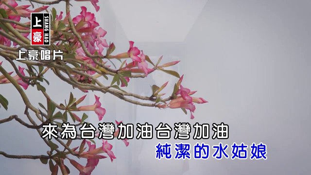吳俊宏-台灣加油【KTV導唱字幕】1080p