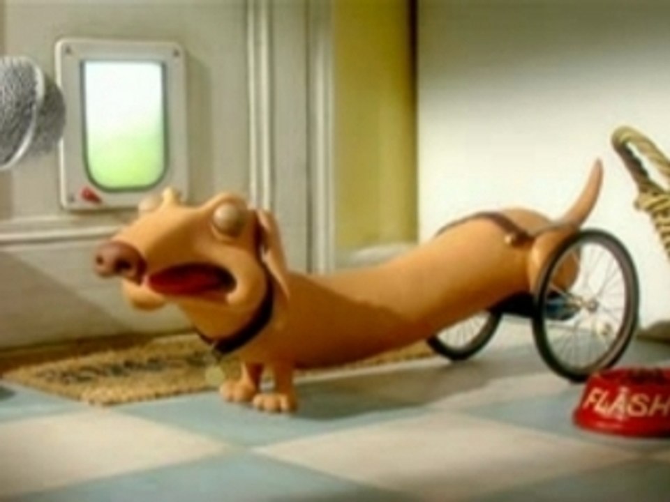 Creature Discomforts