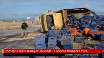 Domates Yüklü Kamyon Devrildi... Tonlarca Domates Yola Saçıldı